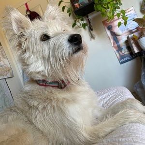 Meet your Posher, Alanna